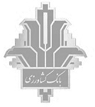 Layer 11