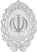 Layer 19